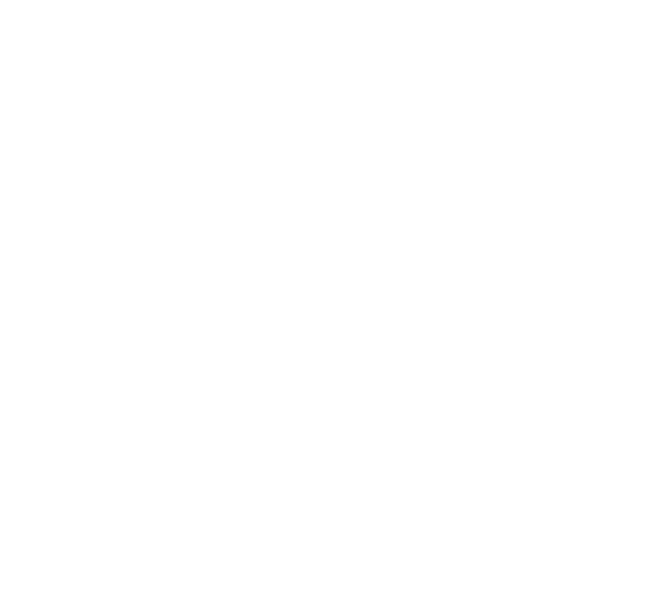 PHILOSOPHY/VISION/VALUES